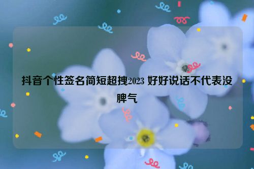 抖音个性签名简短超拽2023 好好说话不代表没脾气