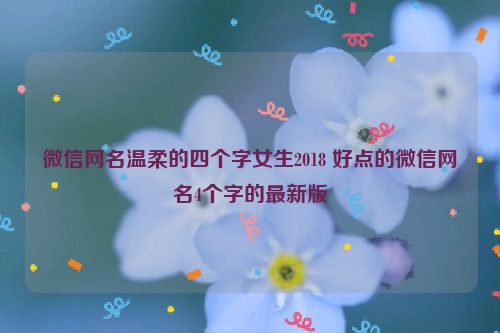 微信网名温柔的四个字女生2018 好点的微信网名4个字的最新版