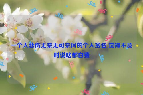 一个人悲伤无奈无可奈何的个人签名 觉得不及时说啥都白费