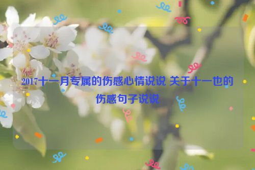 2017十一月专属的伤感心情说说 关于十一也的伤感句子说说