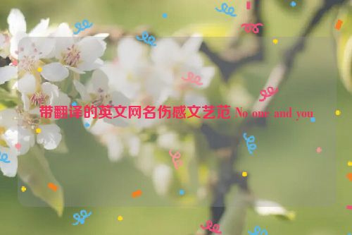 带翻译的英文网名伤感文艺范 No one and you