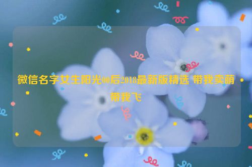 微信名字女生阳光00后2018最新版精选 带我卖萌带我飞