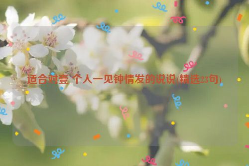 适合对壹 个人一见钟情发的说说(精选23句)