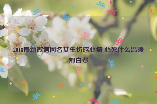 2018最新微信网名女生伤感心痛 心死什么温暖都白费