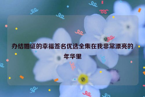 办结婚证的幸福签名优选全集在我非常漂亮的年华里