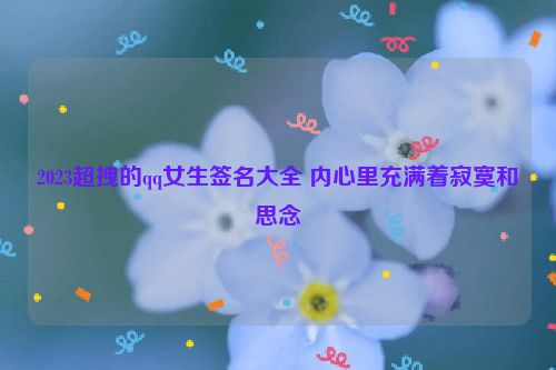 2023超拽的qq女生签名大全 内心里充满着寂寞和思念