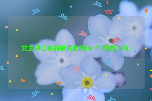 女生微信名简单优雅的900 个(精选823句)