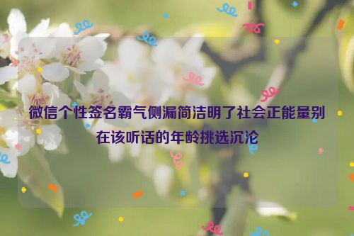 微信个性签名霸气侧漏简洁明了社会正能量别在该听话的年龄挑选沉沦