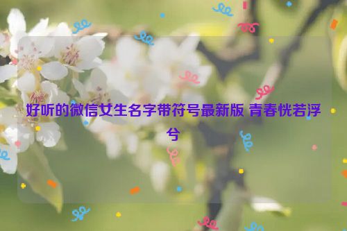 好听的微信女生名字带符号最新版 青春恍若浮兮