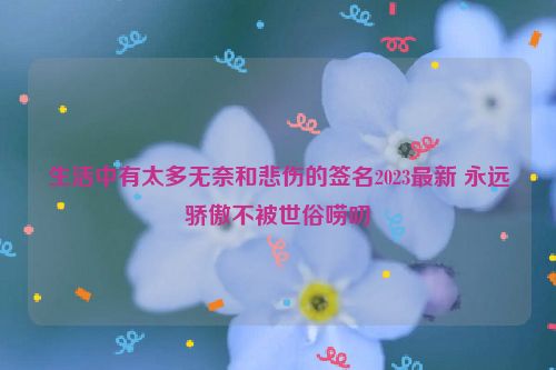 生活中有太多无奈和悲伤的签名2023最新 永远骄傲不被世俗唠叨