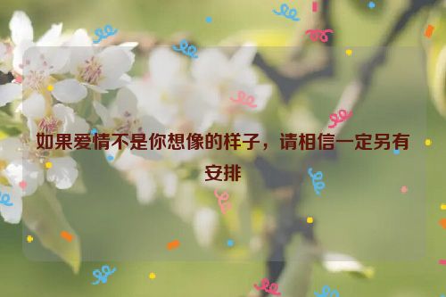 如果爱情不是你想像的样子，请相信一定另有安排