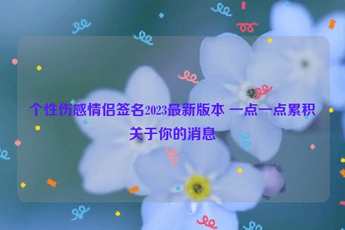 个性伤感情侣签名2023最新版本 一点一点累积关于你的消息