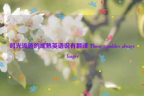 时光流逝的成熟英语说有翻译 Those troubles always linger