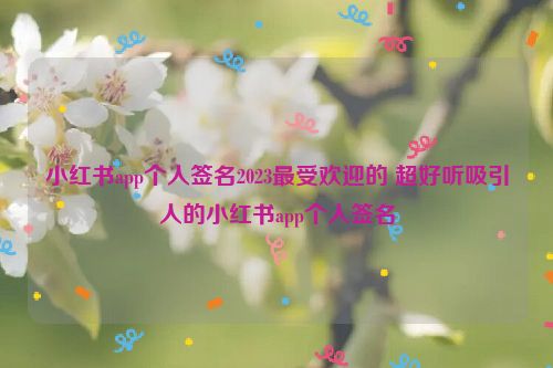 小红书app个人签名2023最受欢迎的 超好听吸引人的小红书app个人签名