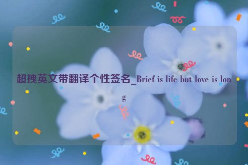 超拽英文带翻译个性签名_Brief is life but love is long