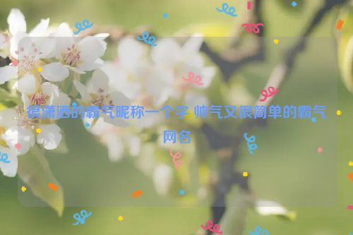 很潇洒的霸气昵称一个字 帅气又很简单的霸气网名