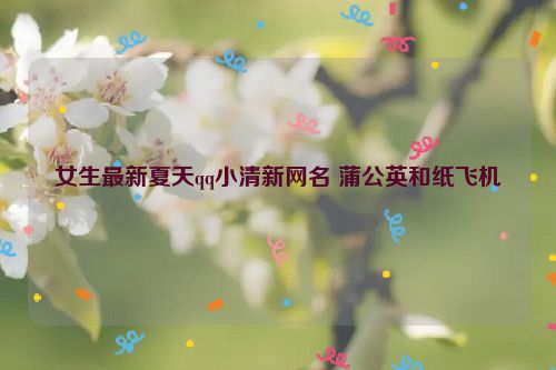 女生最新夏天qq小清新网名 蒲公英和纸飞机