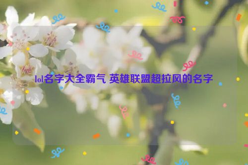 lol名字大全霸气 英雄联盟超拉风的名字