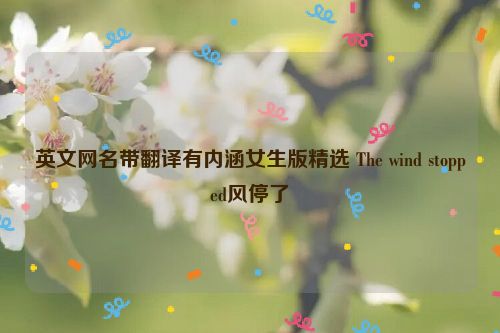 英文网名带翻译有内涵女生版精选 The wind stopped风停了