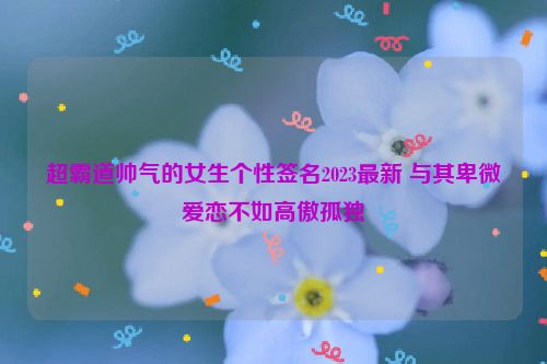 超霸道帅气的女生个性签名2023最新 与其卑微爱恋不如高傲孤独