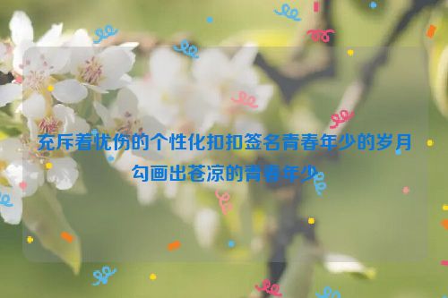 充斥着忧伤的个性化扣扣签名青春年少的岁月勾画出苍凉的青春年少