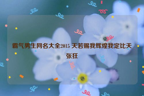 霸气男生网名大全2015 天若赐我辉煌我定比天张狂