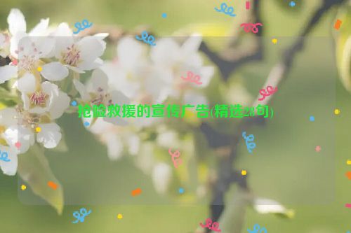 抢险救援的宣传广告(精选28句)