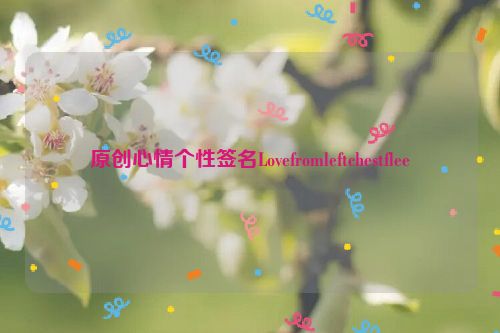 原创心情个性签名Lovefromleftchestflee