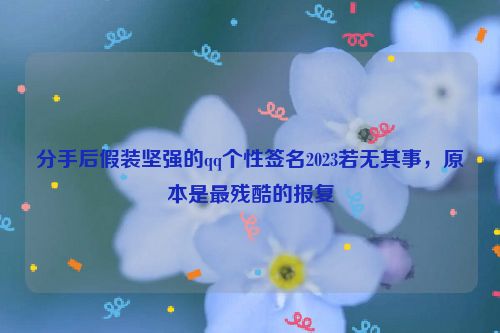 分手后假装坚强的qq个性签名2023若无其事，原本是最残酷的报复